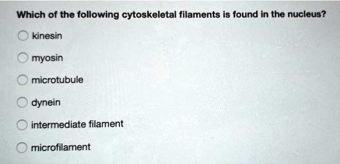 Which of the following cytoskeletal filaments is found in the nucleus?
kinesin
myosin
microtubule
dynein
intermediate filament
microfilament
