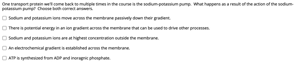 One transport protein we'll come back to multiple times in the course is the sodium-potassium pump. What happens as a result of the action of the sodium-potassium pump? Choose both correct answers.

Sodium and potassium ions move across the membrane passively down their gradient.
There is potential energy in an ion gradient across the membrane that can be used to drive other processes.
Sodium and potassium ions are at highest concentration outside the membrane.
An electrochemical gradient is established across the membrane.
ATP is synthesized from ADP and inoragnic phosphate.