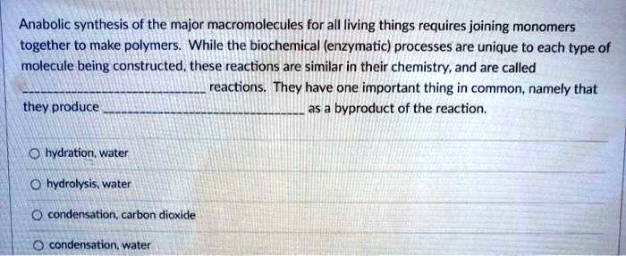 Anabolic synthesis of the major macromolecules for all living things requires joining monomers together to make polymers. While the biochemical (enzymatic) processes are unique to each type of molecule being constructed, these reactions are similar in their chemistry, and are called  reactions. They have one important thing in common, namely that they produce  as a byproduct of the reaction.

hydration, water
hydrolysis, water
condensation, carbon dioxide
condensation, water