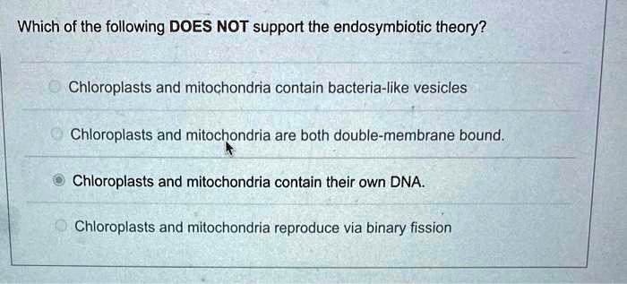 Which Statement Does Not Support The Endosymbiotic Theory