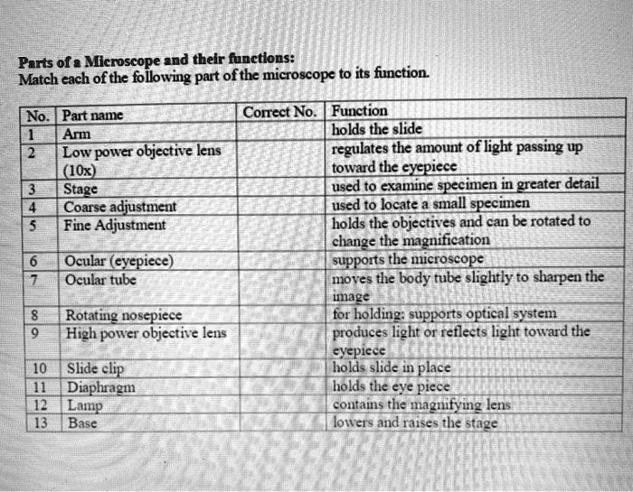 SOLVED Parts of a Microscope and their Functions Match each of the