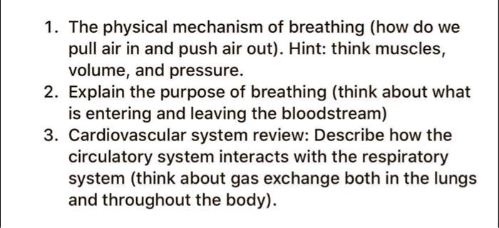 1. The physical mechanism of breathing (how do we pull air in and push air out). Hint: think muscles, volume, and pressure.
2. Explain the purpose of breathing (think about what is entering and leaving the bloodstream)
3. Cardiovascular system review: Describe how the circulatory system interacts with the respiratory system (think about gas exchange both in the lungs and throughout the body).