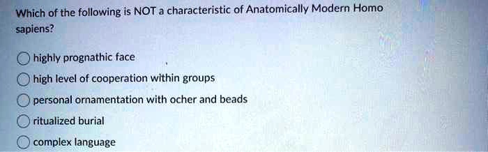 Which of the following is NOT a characteristic of Anatomically Modern Homo
sapiens?
- highly prognathic face
- high level of cooperation within groups
- personal ornamentation with ocher and beads
- ritualized burial
- complex language