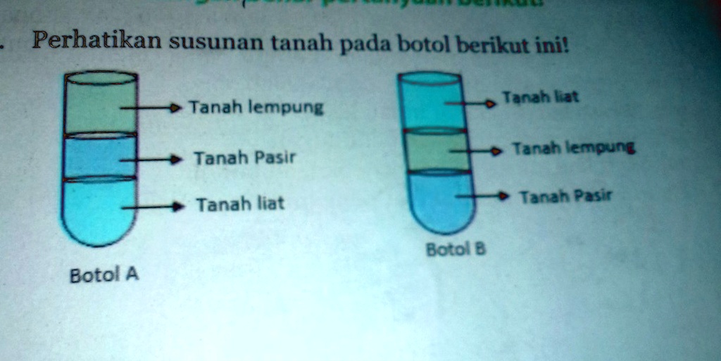 SOLVED: Kedua Botol Itu Ditanami Tumbuhan Dengan Jumlah Dan ...