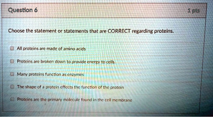 Choose the statement or statements that are CORRECT regarding proteins.
All proteins are made of amino acids
Proteins are broken down to provide energy to cells.
Many proteins function as enzymes
The shape of a protein effects the function of the protein
Proteins are the primary molecule found in the cell membrane