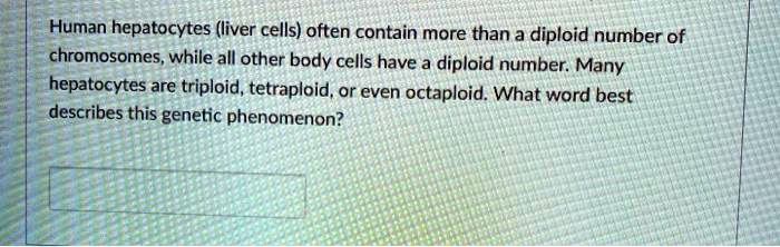 Human hepatocytes (liver cells) often contain more than a diploid number of chromosomes, while all other body cells have a diploid number. Many hepatocytes are triploid, tetraploid, or even octaploid. What word best describes this genetic phenomenon?