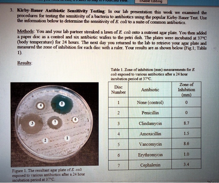 SOLVED: Enabie Ediling Kirby-Bauer Antibiotic Sensitivity Testing In our  lab presentation tis weck we]examined the procedures for testing the  sensitivity of a bacteria to antibiotics Using the popular Kirby-Bzuer Test  Use the