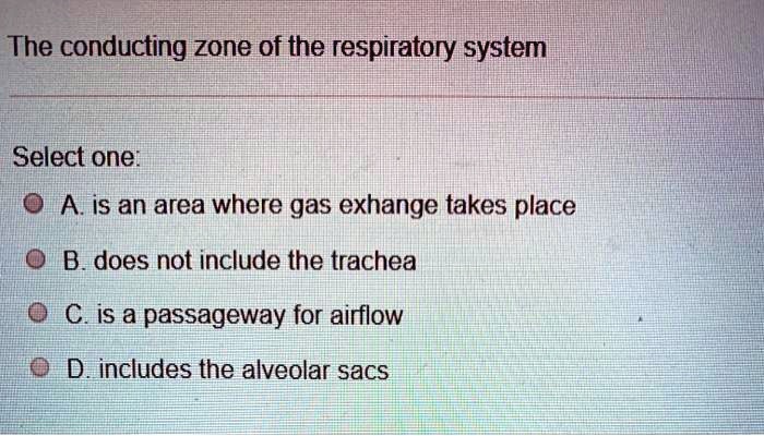 The conducting zone of the respiratory system
Select one:
A. is an area where gas exhange takes place
B. does not include the trachea
C. is a passageway for airflow
D. includes the alveolar sacs