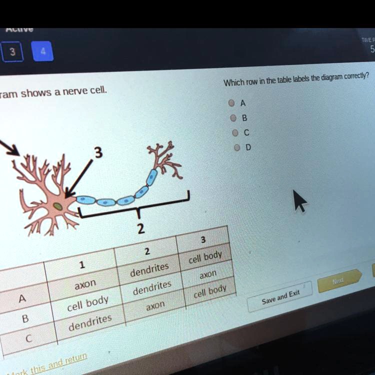 SOLVED I need help ASAP Elnen Which row in the table labels the