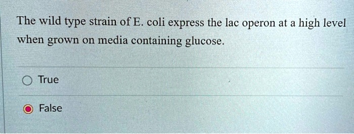 The wild type strain of E. coli express the lac operon at a high level when grown on media containing glucose.
True
False
