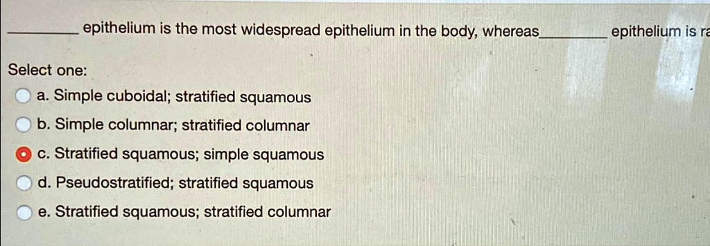 Epithelium Is The Most Widespread Epithelium In The Body Whereas