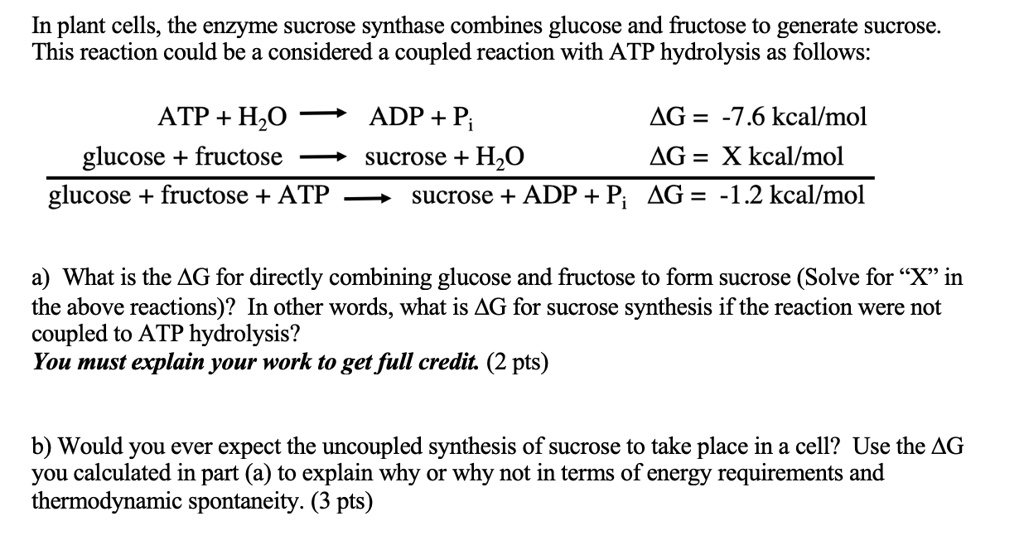 SOLVED: In plant cells, the enzyme sucrose synthase combines glucose ...