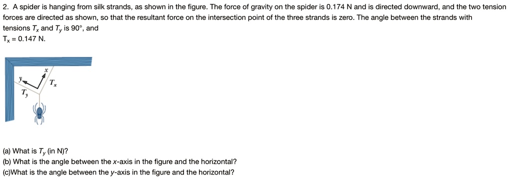 a spider is hanging from silk strands as shown in the figure the force ...