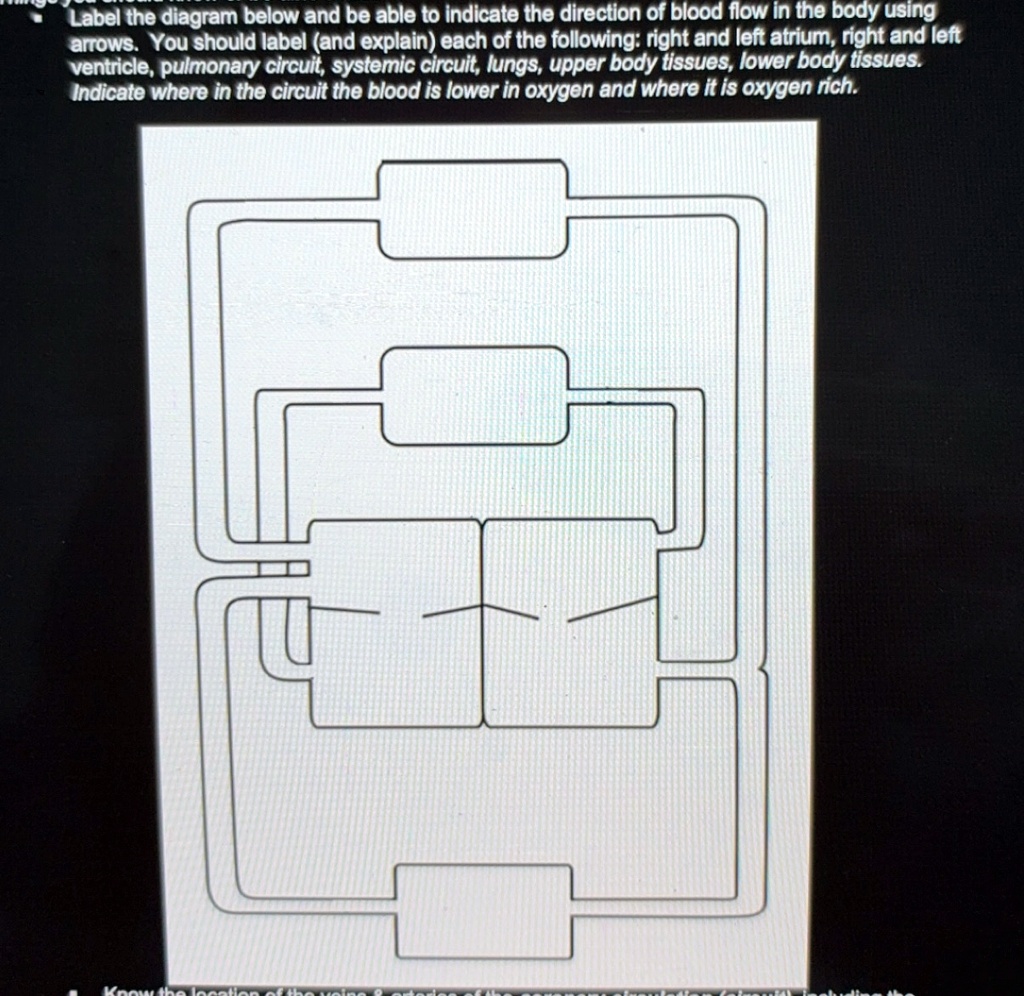 label the diagram below and be able to indicate the direction of blood ...