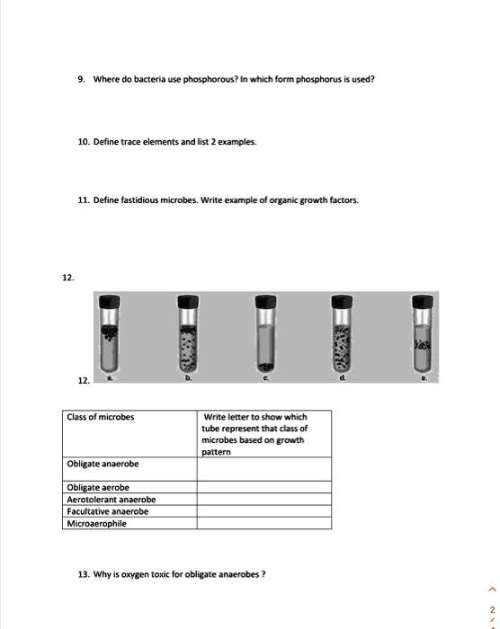 Solved where do bacteria use phosphorus in what form is phosphorus