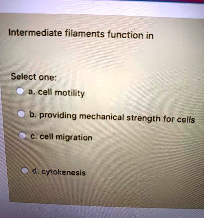 SOLVED Intermediate filaments function in providing mechanical