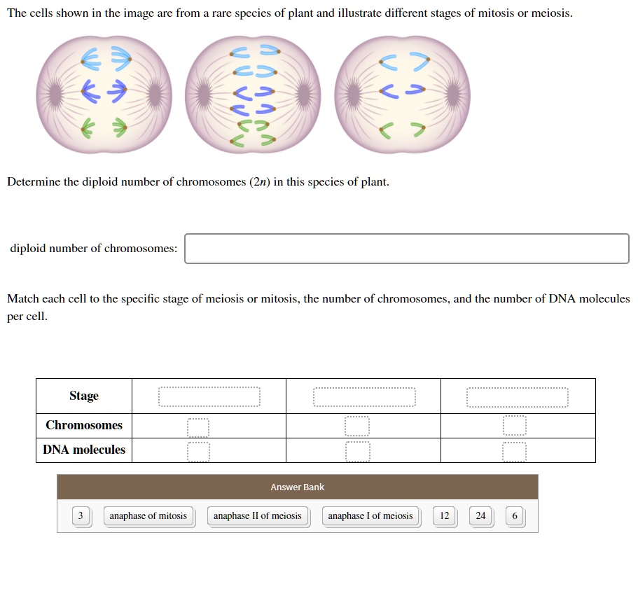 The cells shown in the image are from rare species of plant and ...