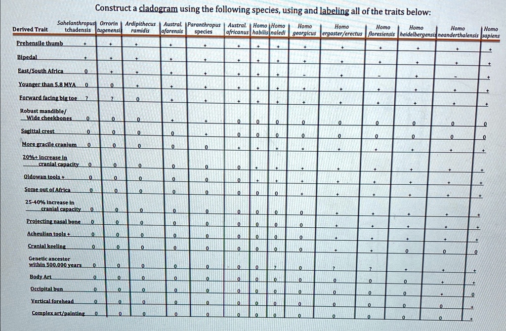 Construct a cladogram using the following species, using and labeling ...