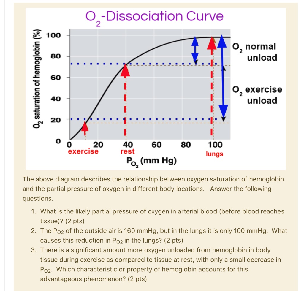 SOLVED: Dissociation Curve 2 2 100 L 80 3 60 1 40 6' 20 normal