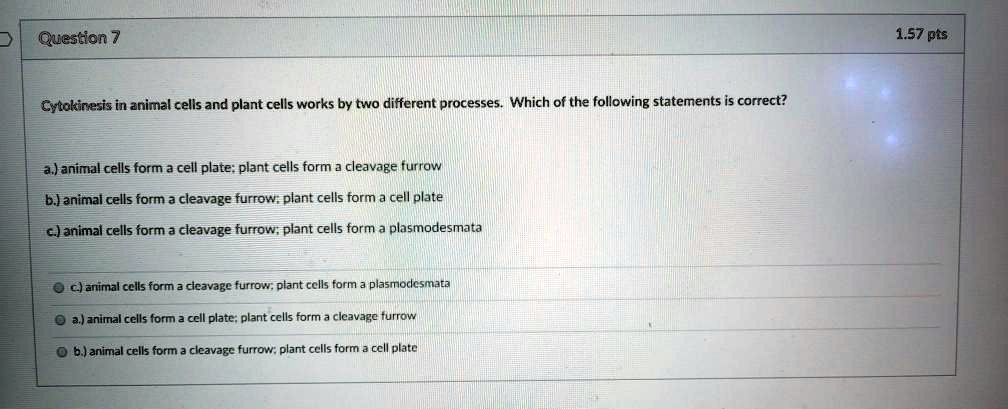 Which Of The Following Statements Is True About Memory Cells SOLVED: Cytokinesis in animal cells and plant cells works by two