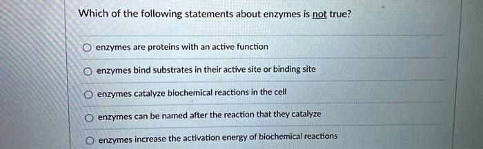Which of the following statements about enzymes is not true?
enzymes are proteins with an active function
enzymes bind substrates in their active site or binding site
enzymes catalyze biochemical reactions in the cell
enzymes can be named after the reaction that they catalyze
enzymes increase the activation energy of biochemical reactions