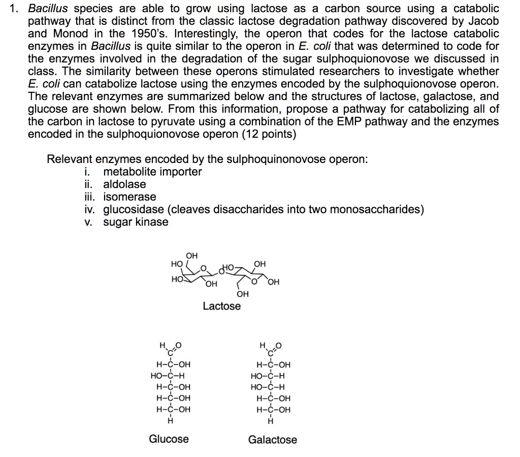 SOLVED: Bacillus species are able to grow using lactose as carbon ...