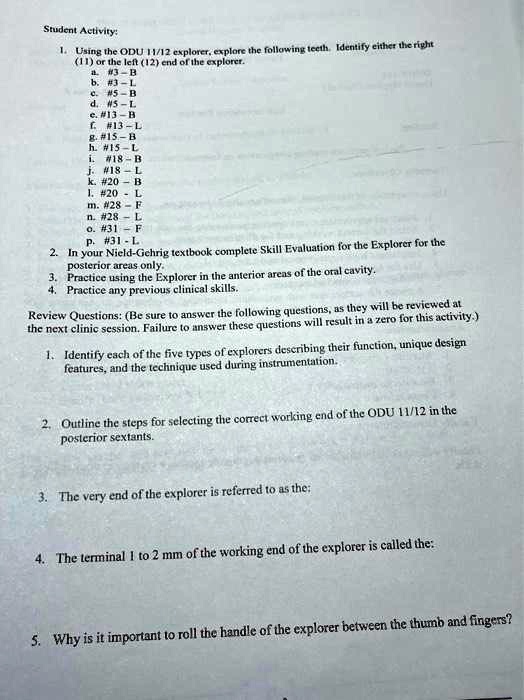 SOLVED: Texts: Dental Hygiene Student Activity 1) For the left end of ...