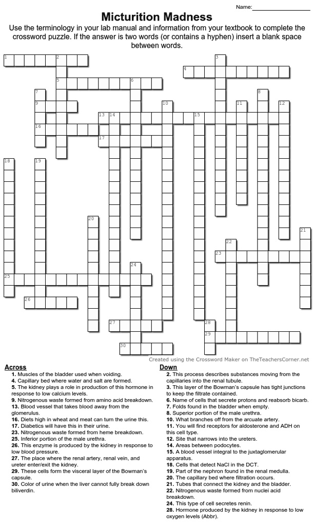 SOLVED: This is a crossword puzzle for the urinary system the question