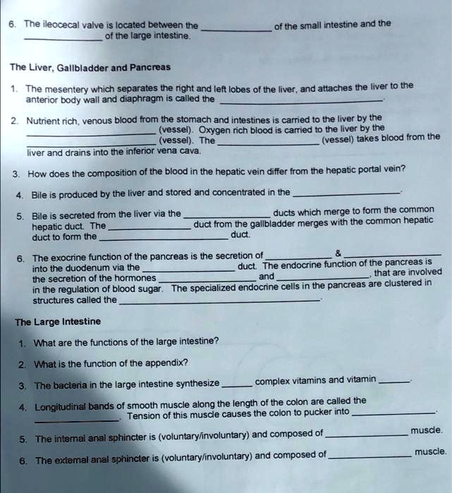 SOLVED 6. The ileocecal valve is located between the small intestine