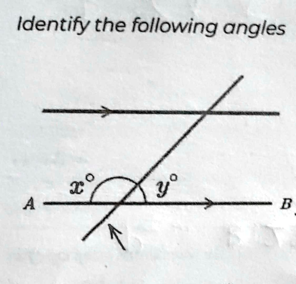 ldentify the following angles a y a b 88582