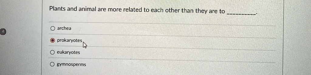 Plants and animal are more related to each other than they are to .
? archea
? prokaryotes
? eukaryotes
? gymnosperms
