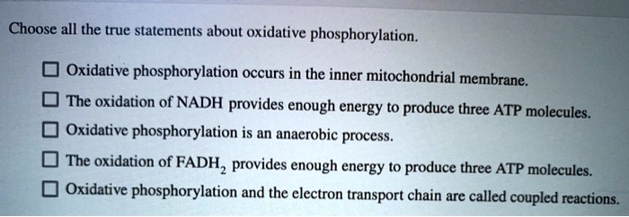 Choose All The True Statements About Oxidative Phosphorylation.