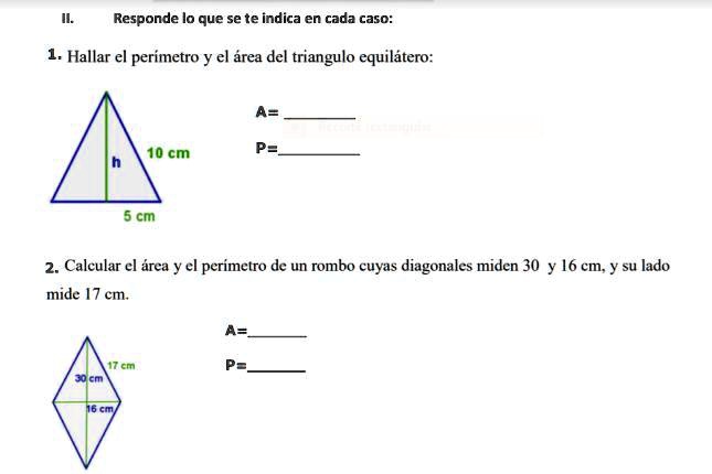 SOLVED: allar el perímetro y área Responde lo que se te indica en cada ...