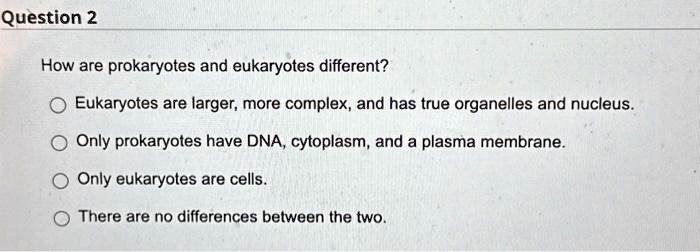 SOLVED: Question 2 How are prokaryotes and eukaryotes different? O ...