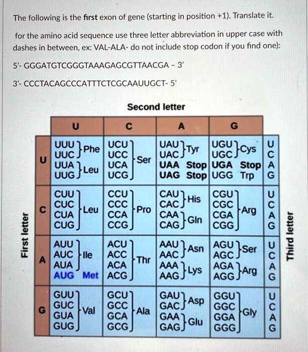 SOLVED Texts The following is the first exon of a gene (starting at