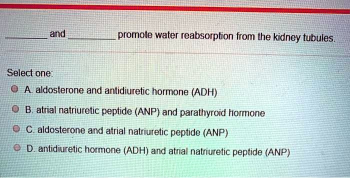  and  promote water reabsorption from the kidney tubules.

Select one:
A. aldosterone and antidiuretic hormone (ADH)
B. atrial natriuretic peptide (ANP) and parathyroid hormone
C. aldosterone and atrial natriuretic peptide (ANP)
D. antidiuretic hormone (ADH) and atrial natriuretic peptide (ANP)