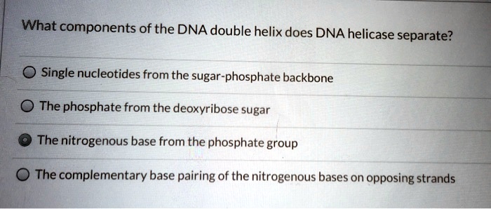 what components of the dna double helix does dna helicase separate ...
