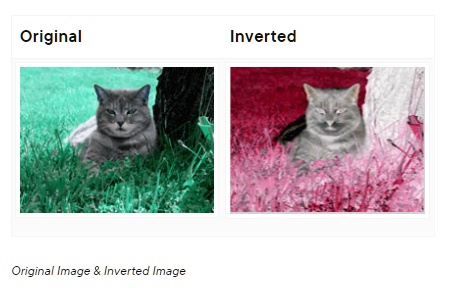 Original Inverted Original Image Inverted Image