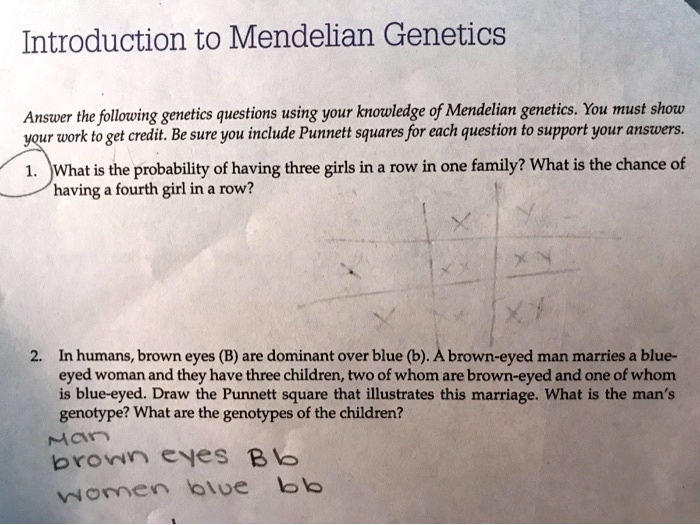 SOLVED: Text: Introduction To Mendelian Genetics Answer The Following ...