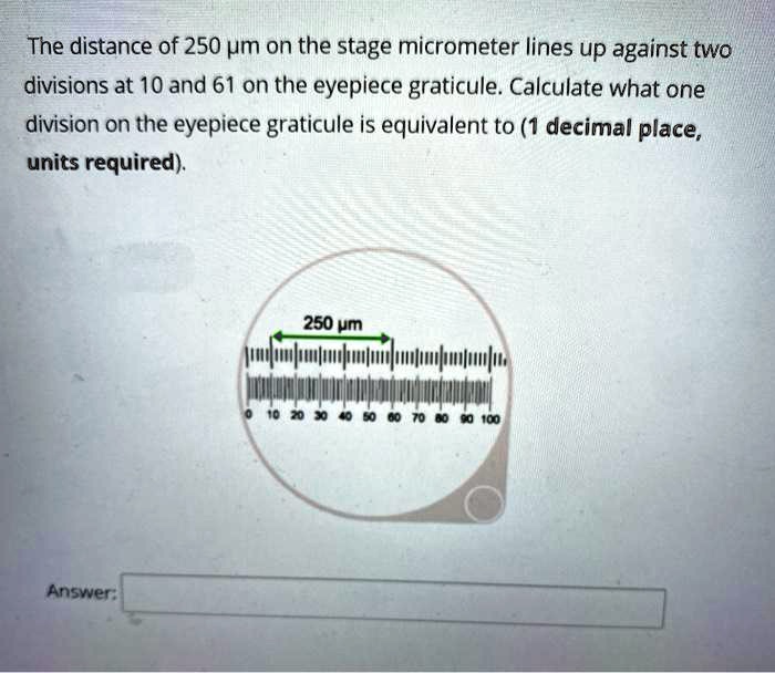 SOLVED Tne distance of 250 um on the stage micrometer lines up against