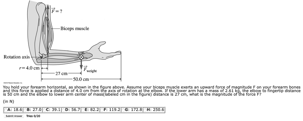 F = ?
Biceps muscle
Rotation axis
r = 4.0 cm
cm
Fweight
27 cm
50.0 cm
© 2010 Pearson Education, Inc.
You hold your forearm horizontal, as shown in the figure above. Assume your biceps muscle exerts an upward force of magnitude F on your forearm bones and this force is applied a distance of 4.0 cm from the axis of rotation at the elbow. If the lower arm has a mass of 2.61 kg, the elbow to fingertip distance is 50 cm and the elbow to lower arm center of mass(labeled cm in the figure) distance is 27 cm, what is the magnitude of the force F?
(in N)
A: 18.6 B: 27.0 C: 39.1 D: 56.7 E: 82.2 F: 119.2 G: 172.8 H: 250.6