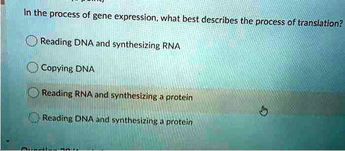 SOLVED: In the process of gene expression what best describes the SOLVED: In the process of gene expression what best describes the