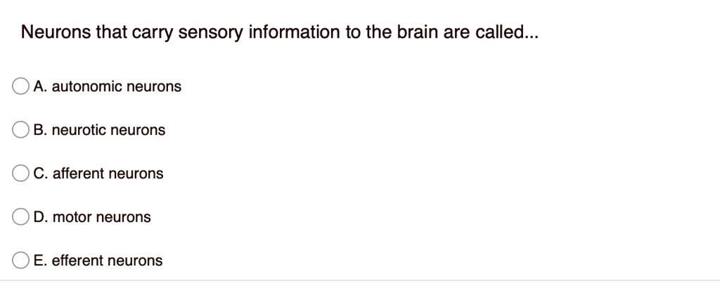 Neurons that carry sensory information to the brain are called...
A. autonomic neurons
B. neurotic neurons
C. afferent neurons
D. motor neurons
E. efferent neurons