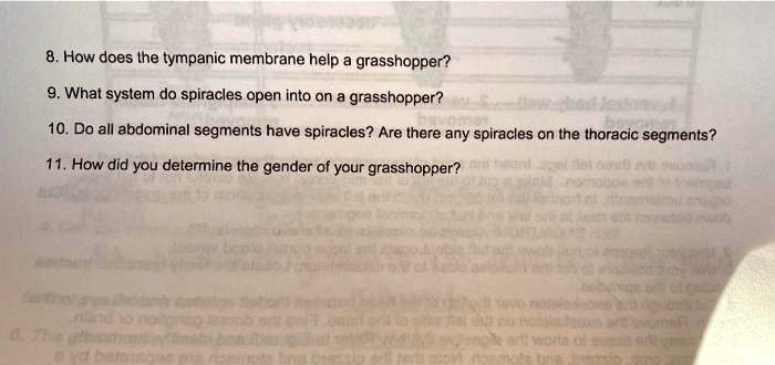 SOLVED: 8. How does the tympanic membrane help a grasshopper? What