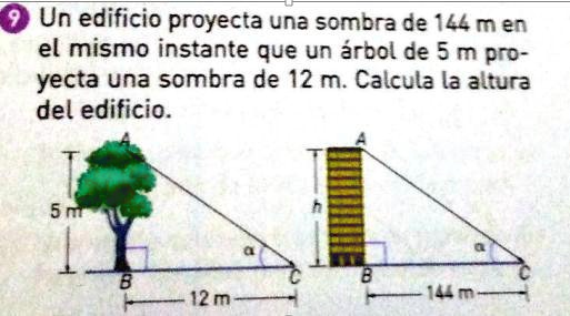por favor ayudenme doy 10 un edificio proyecta una sombra de illmen el