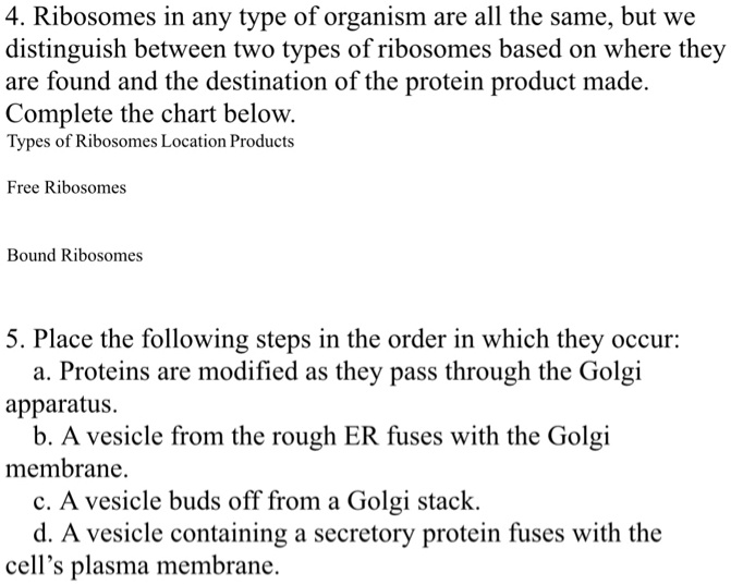 4. Ribosomes in any type of organism are all the same, but we
distinguish between two types of ribosomes based on where they
are found and the destination of the protein product made.
Complete the chart below.
Types of Ribosomes Location Products
Free Ribosomes
Bound Ribosomes
5. Place the following steps in the order in which they occur:
a. Proteins are modified as they pass through the Golgi
apparatus.
b. A vesicle from the rough ER fuses with the Golgi
membrane.
c. A vesicle buds off from a Golgi stack.
d. A vesicle containing a secretory protein fuses with the
cell's plasma membrane.