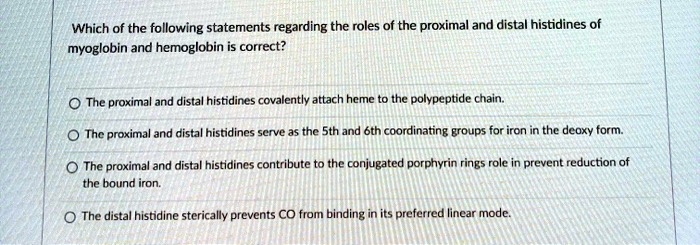 SOLVED: Which of the following statements regarding the roles of the ...