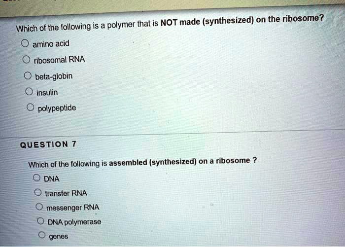 Which of the following is a polymer that is NOT made (synthesized) on the ribosome? amino acid ribosomal RNA beta-globin insulin polypeptide QUESTION 7 Which of the following is assembled (synthesized) on a ribosome ? DNA transfer RNA messenger RNA DNA polymerase genes