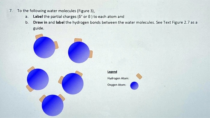 the-biologs-cape-1-water-introduction-to-it-s-biochemistry