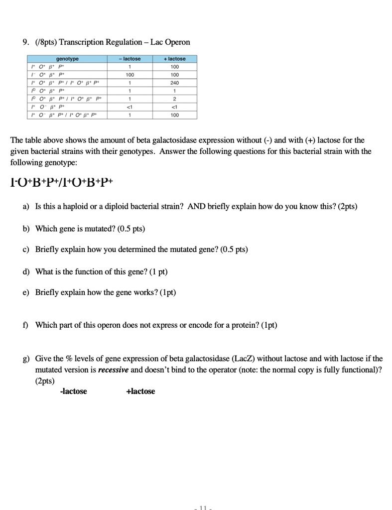 SOLVED 8pts Transcription Regulation Lac Operon Genotype Jaciose